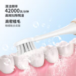 成人電動(dòng)牙刷 S700