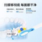 智能掃振電動(dòng)牙刷 503
