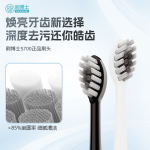 牙刷頭 S700