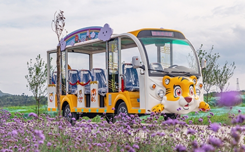 旅游景區(qū)為什么要用燃油觀光車？